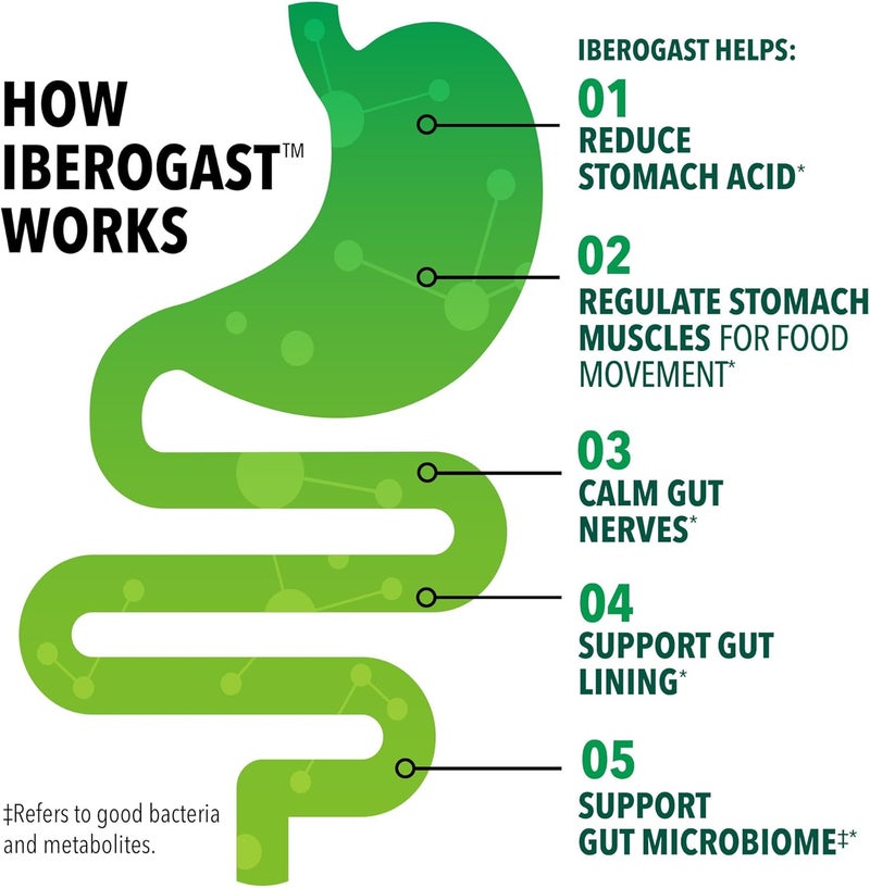 Iberogast Dual Action Digestive Relief, Daily Herbal Supplement, Supports Gut Health* Helps: Relieve Occasional Upset Stomach(bloating relief, nausea, heartburn, gas)+Restore Digestive Function* 30ct - Image 3